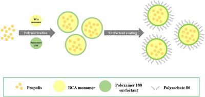 Targeted Propolis-Loaded Poly (Butyl) Cyanoacrylate Nanoparticles: An Alternative Drug Delivery Tool for the Treatment of Cryptococcal Meningitis